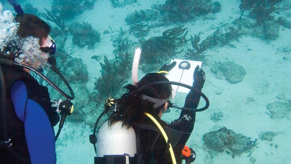 Underwater Navigation Specialty Course Philippines