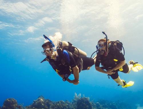 Philippines Diving