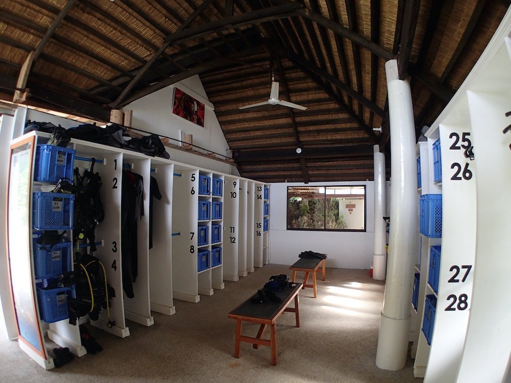 diving gears