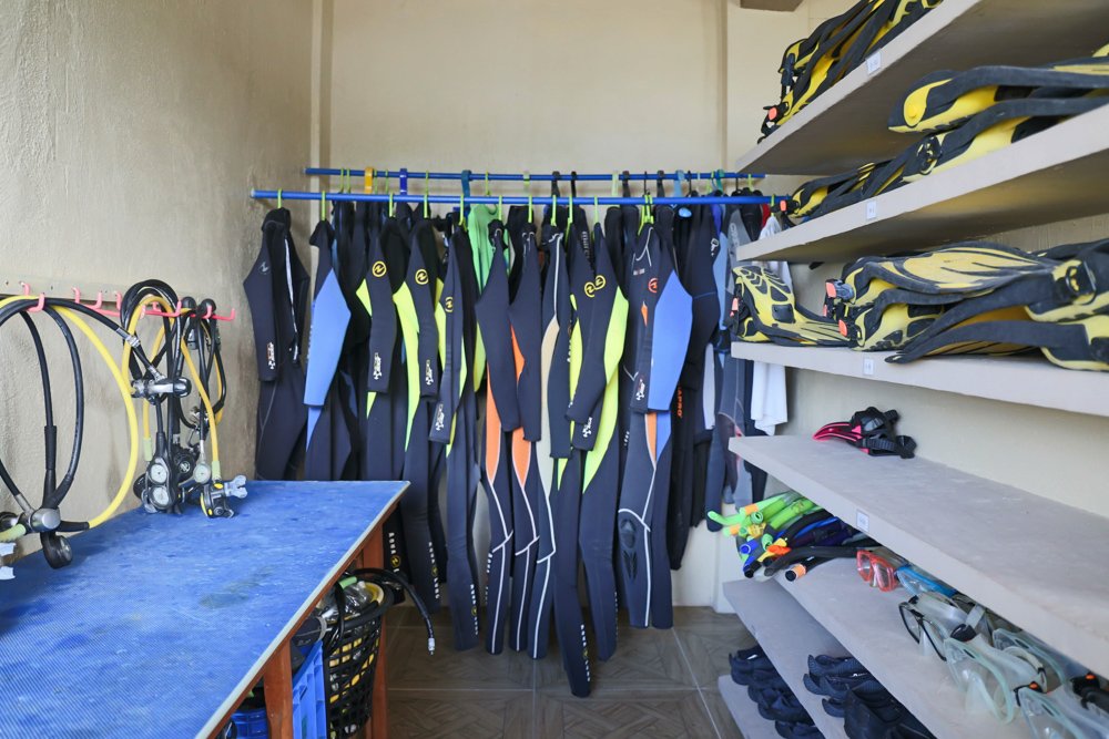 dive gears