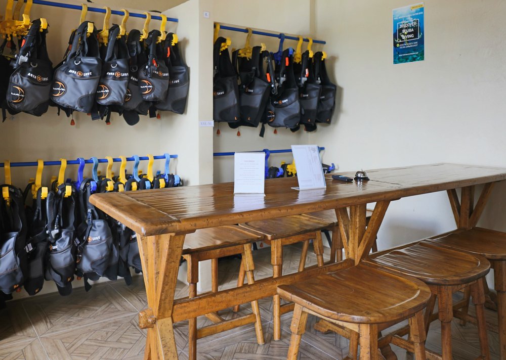 dive gears