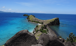 Sambawan dive site malapascua