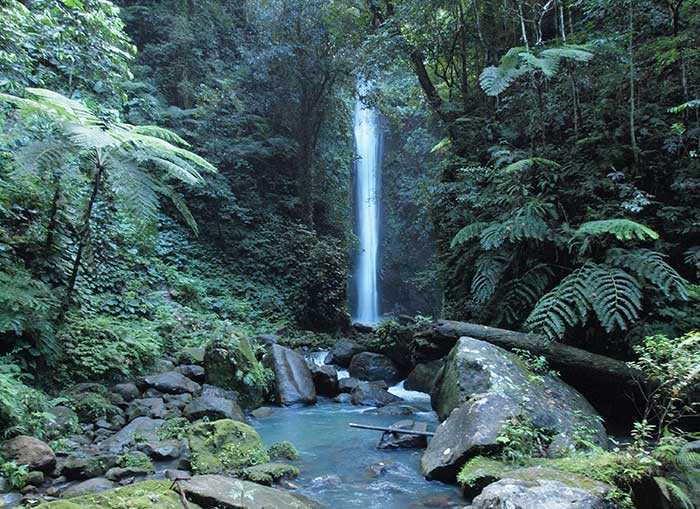 casaroro waterfalls dauin dumaguete