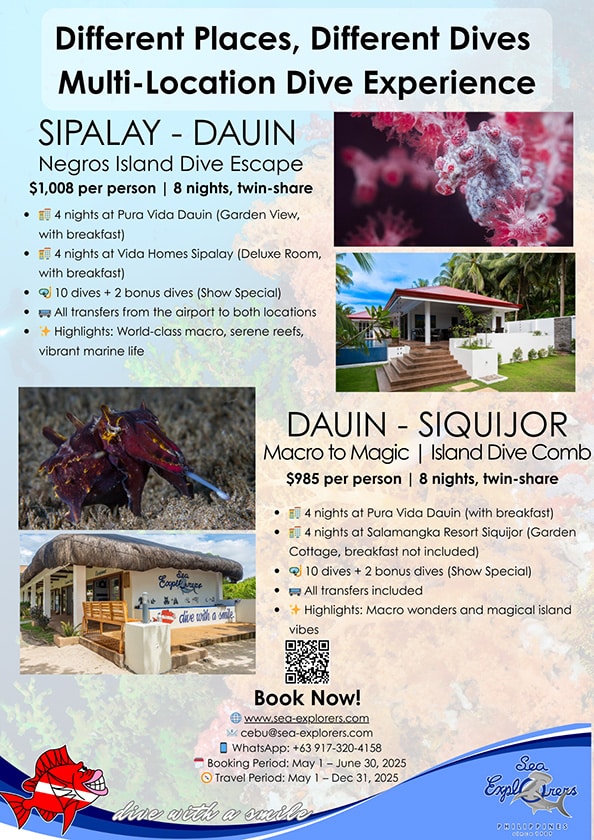 sipalay to dauin and dauin to siquijor promo