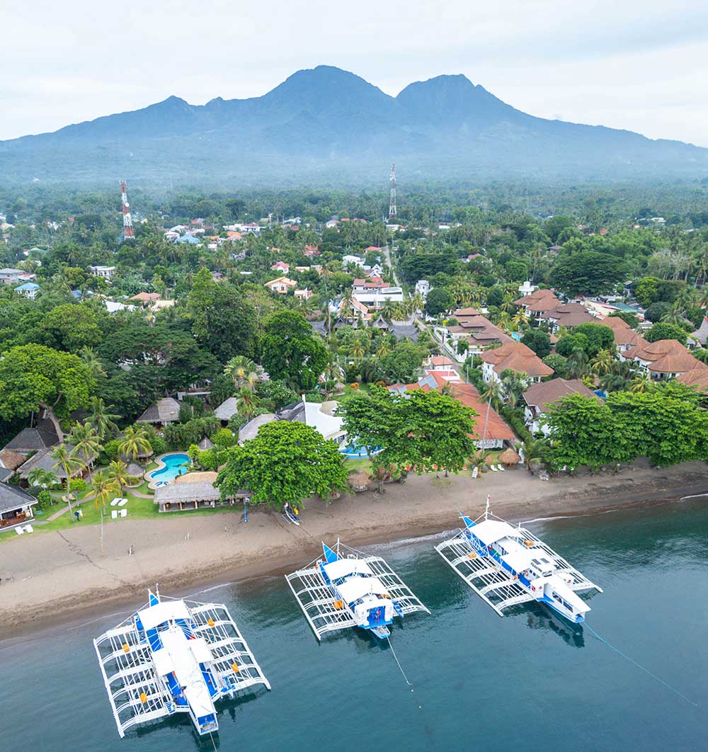 dauin negros beach